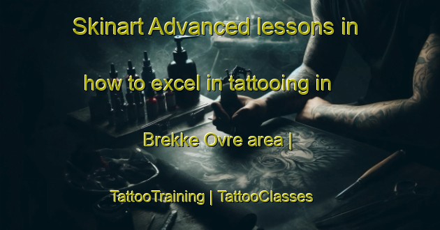 Skinart Advanced lessons in how to excel in tattooing in Brekke Ovre area | TattooTraining | TattooClasses | SkinartTraining-Norway